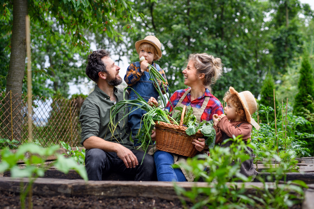 Gezin werkt in een moestuin