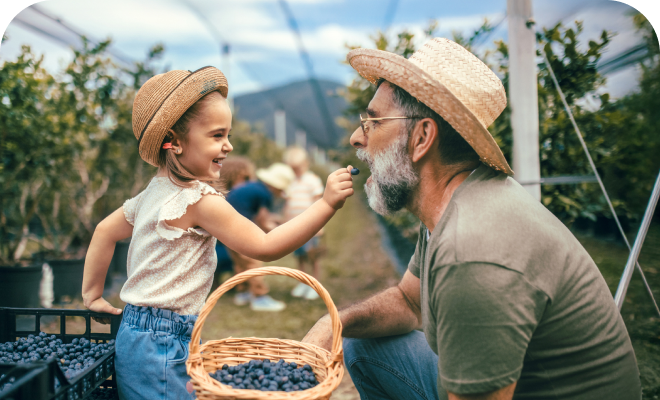 Grand-père et petit-enfant mangent des baies