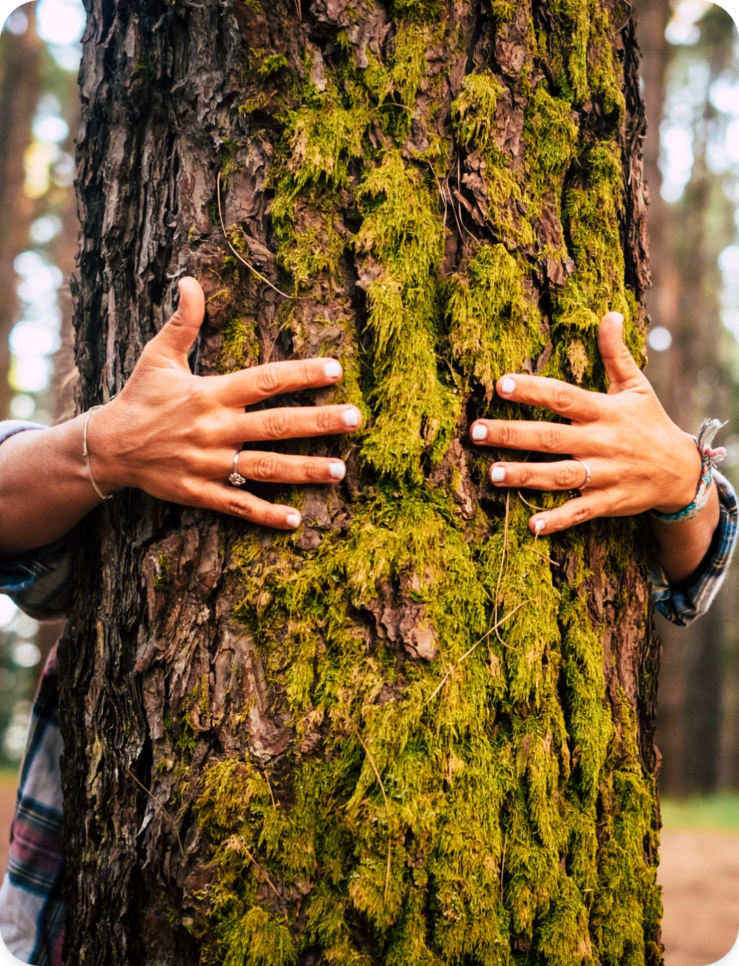 Personne qui embrasse un arbre