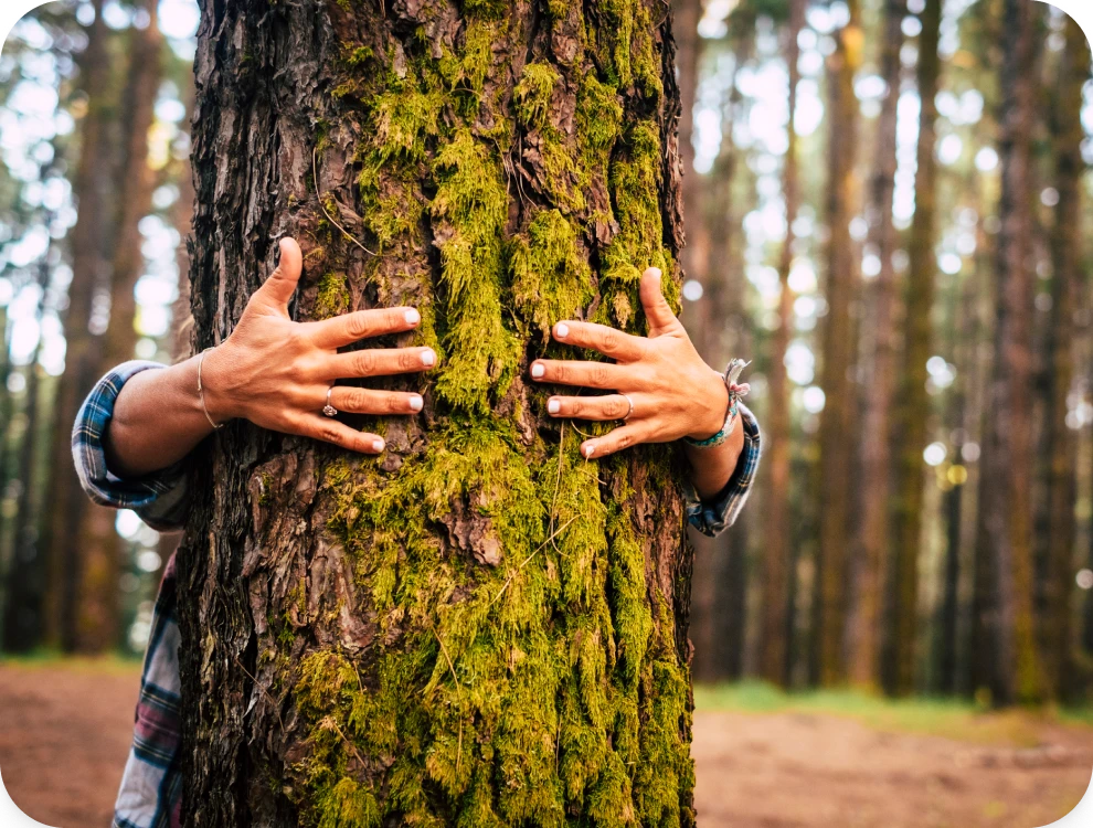 Personne qui embrasse un arbre