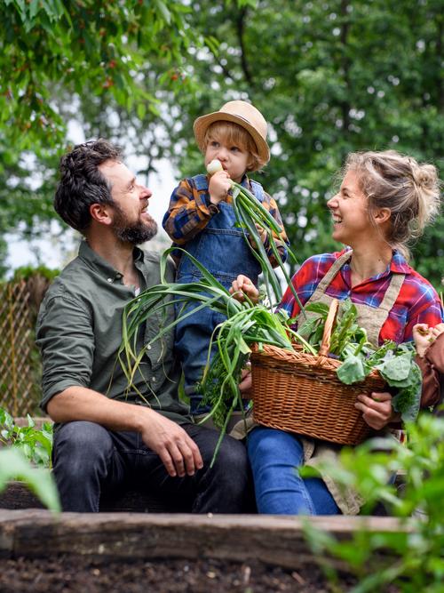 Gezin werkt in een moestuin