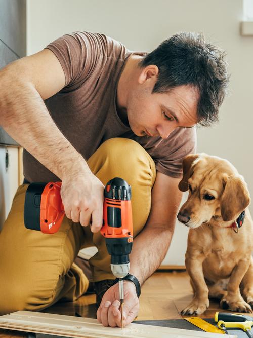 Man aan het werk met elektrische schroevendraaier naast een hondje